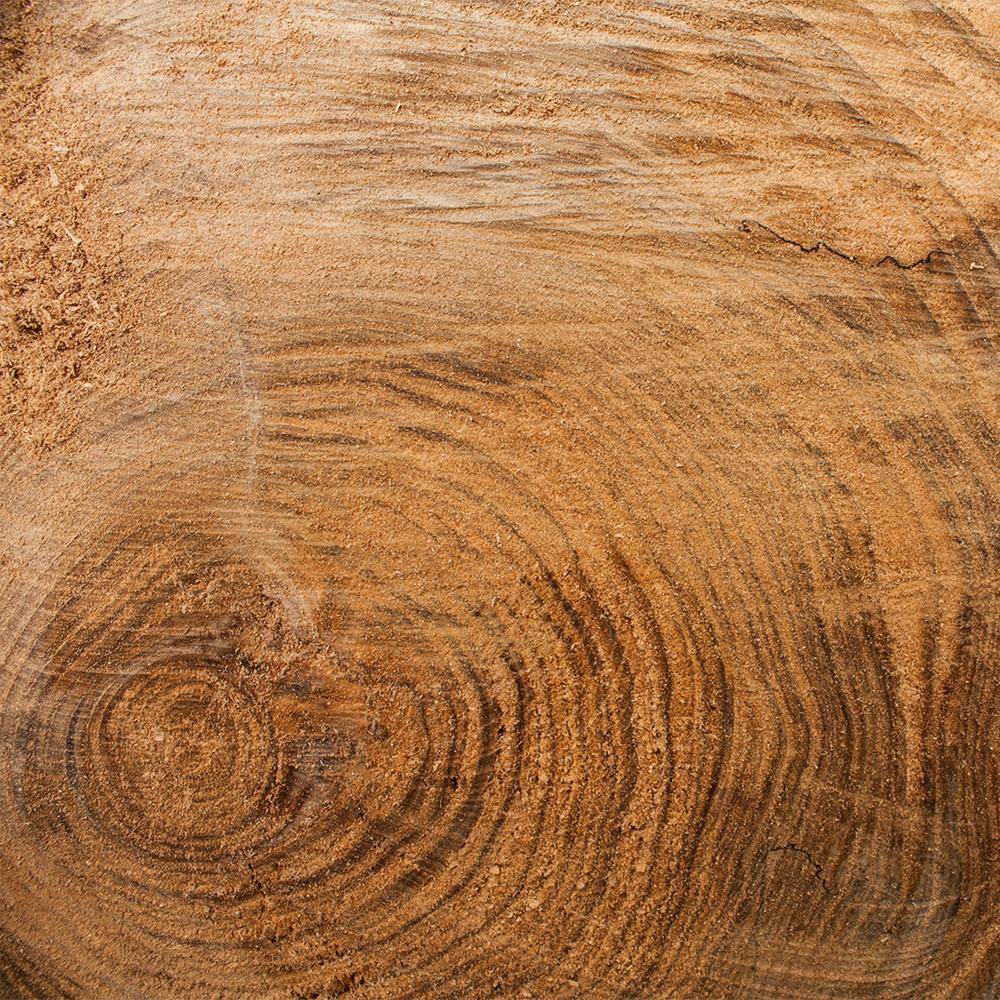 Holz mit Jahresringen Holz mit Jahresringen